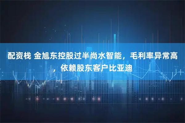配资栈 金旭东控股过半尚水智能，毛利率异常高，依赖股东客户比亚迪