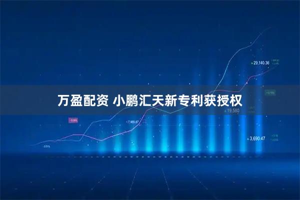 万盈配资 小鹏汇天新专利获授权
