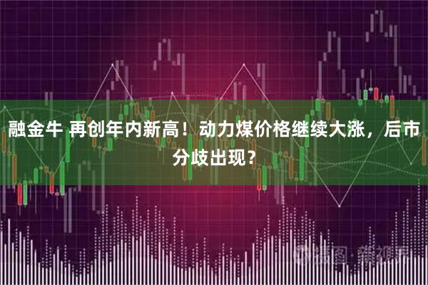 融金牛 再创年内新高！动力煤价格继续大涨，后市分歧出现？