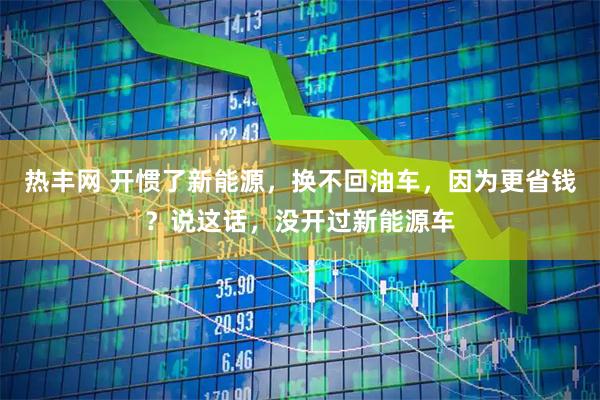热丰网 开惯了新能源，换不回油车，因为更省钱？说这话，没开过新能源车